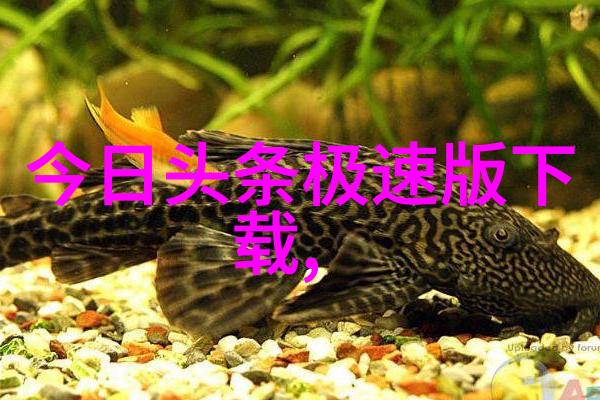 早安之美2023年最温馨的早晨图片精选