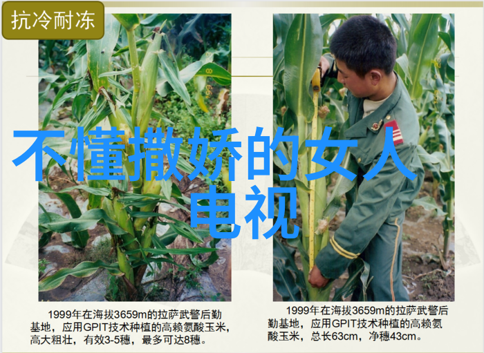 父子情深探索家庭纽带的力量与挑战
