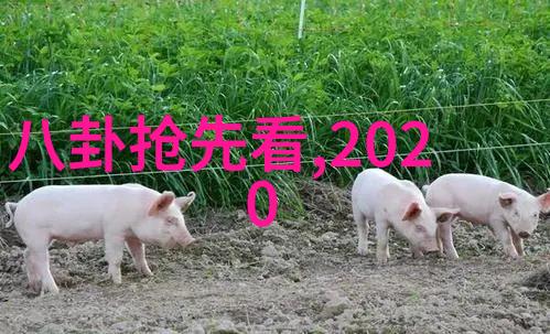 娱乐圈中的秘密情缘隐形的爱情故事