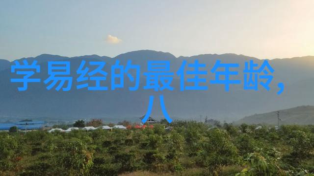 我们的美好生活综艺免费观看直播间热门真人秀