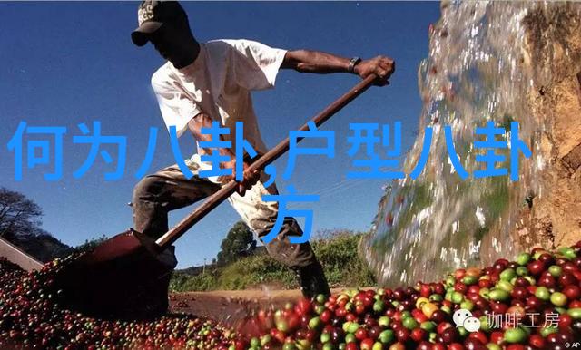 画面美到让人心动雪犁网红照片中隐藏了什么秘密