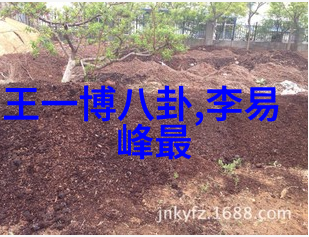 日系写真艺术捕捉瞬间的美