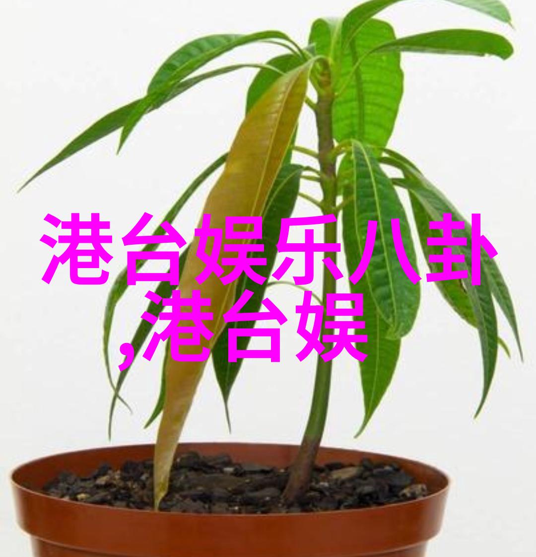 江静在曲多多版权音乐官网上携新歌Soul Searching掏心挖肺回顾脆弱的过去