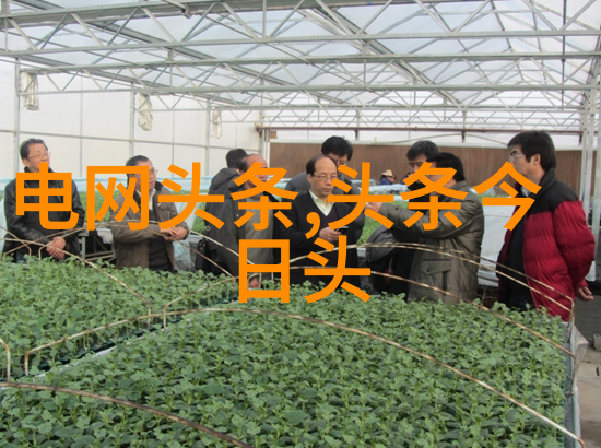 陶虹从张庭公司分红4亿算命真的准吗官方她将面临追查