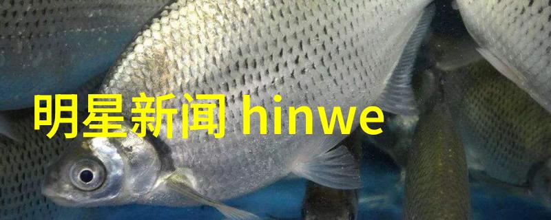 环保行动力度提升绿色能源转型之路