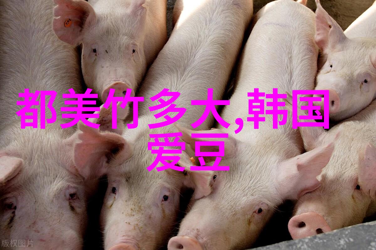 香蕉娱乐揭秘全新4K版花样年华在纽约电影节闪耀首映二十周年全球巡展即将拉开帷幕引发预期的巨大悬念