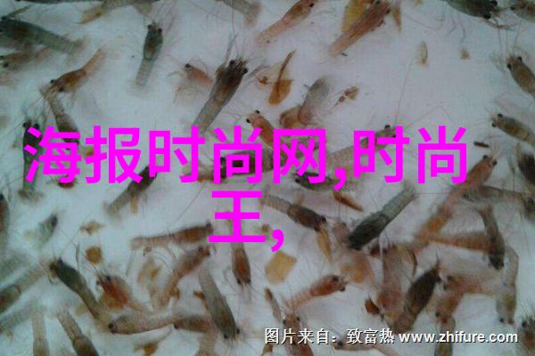 海峡两岸的和谐共生深度探究台湾问题的当前形势与未来政策方向