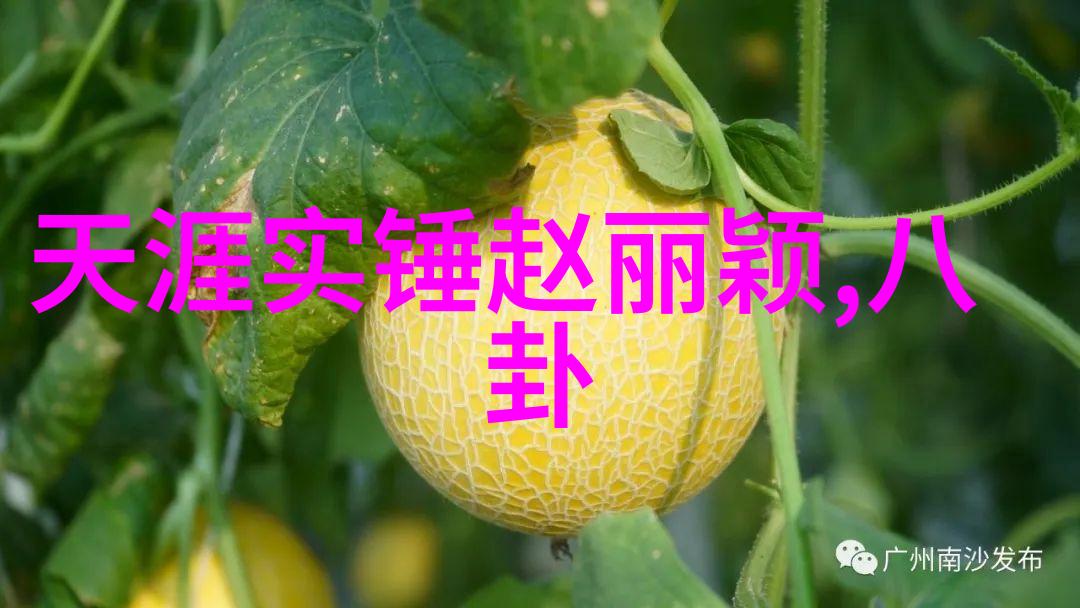 揭秘女生八卦男生的秘密解读背后的言语游戏