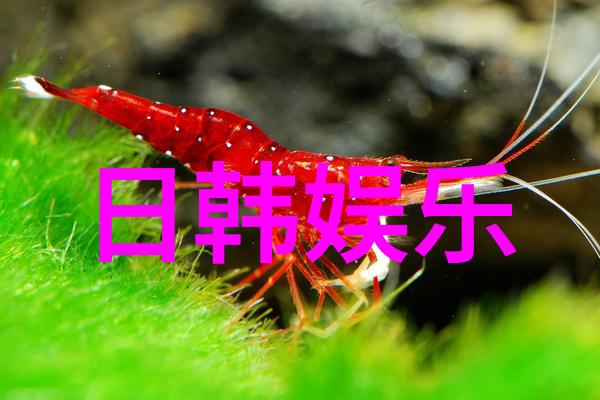 周笔畅换风格了 一字肩上衣搭阔腿裤 精致优雅很有女人味儿(内地明星明星时尚周笔畅穿衣搭配什么)