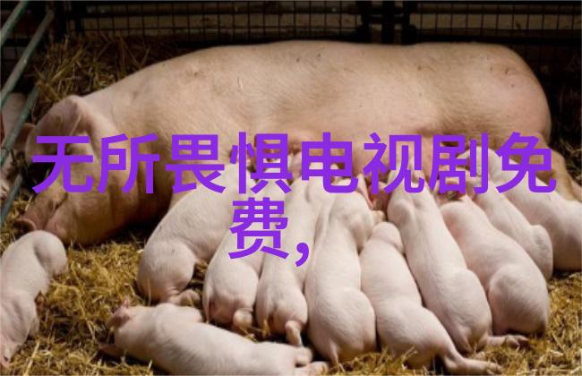 中赫时尚2021最火款式显手白又时髦仙女必备