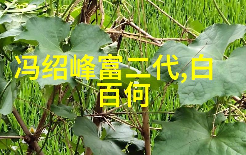银幕上的奇幻电影艺术的新篇章