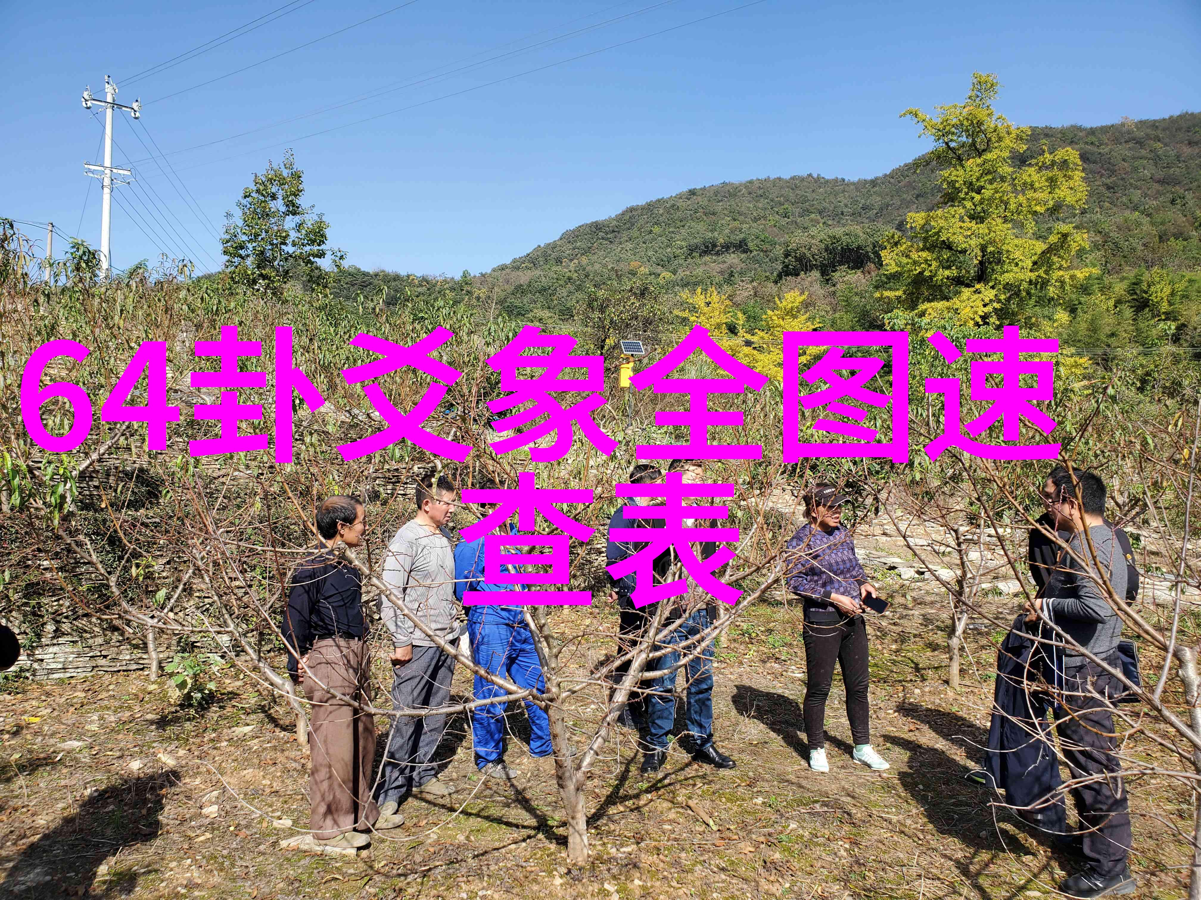 十月两岸大事将至落花时节又逢君杀青情深爱烈只为你见
