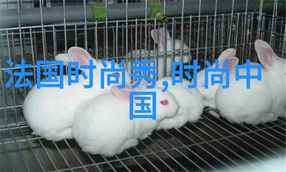 时尚比基尼盛宴优衣库庆祝诺瓦克德约科维奇的澳网三冠霸业