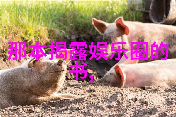 绘图奇缘八卦图的美妙传说