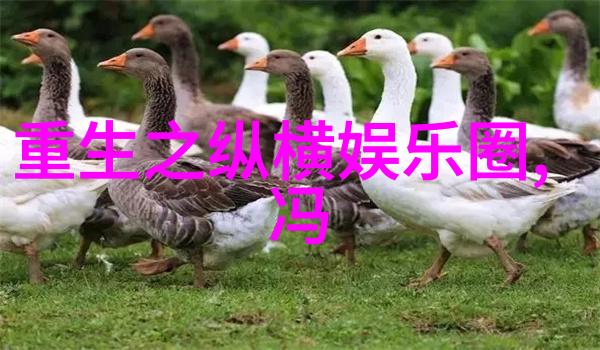 银幕下的倾听者左耳电视剧的奇幻旅程