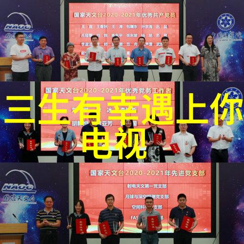 青春与荣耀20岁黄晓明的香港回归庆典