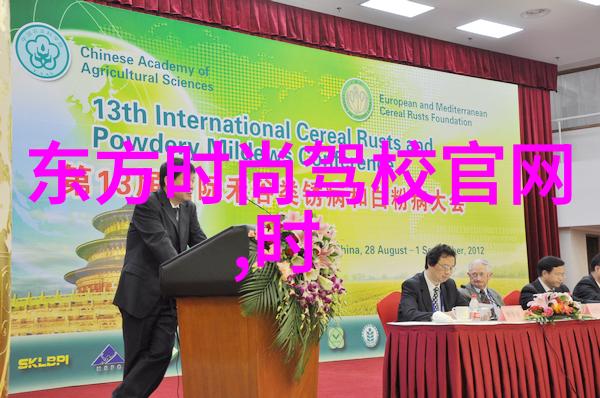 经济一体化梦碎前夕台湾大陆关系最新动态解析