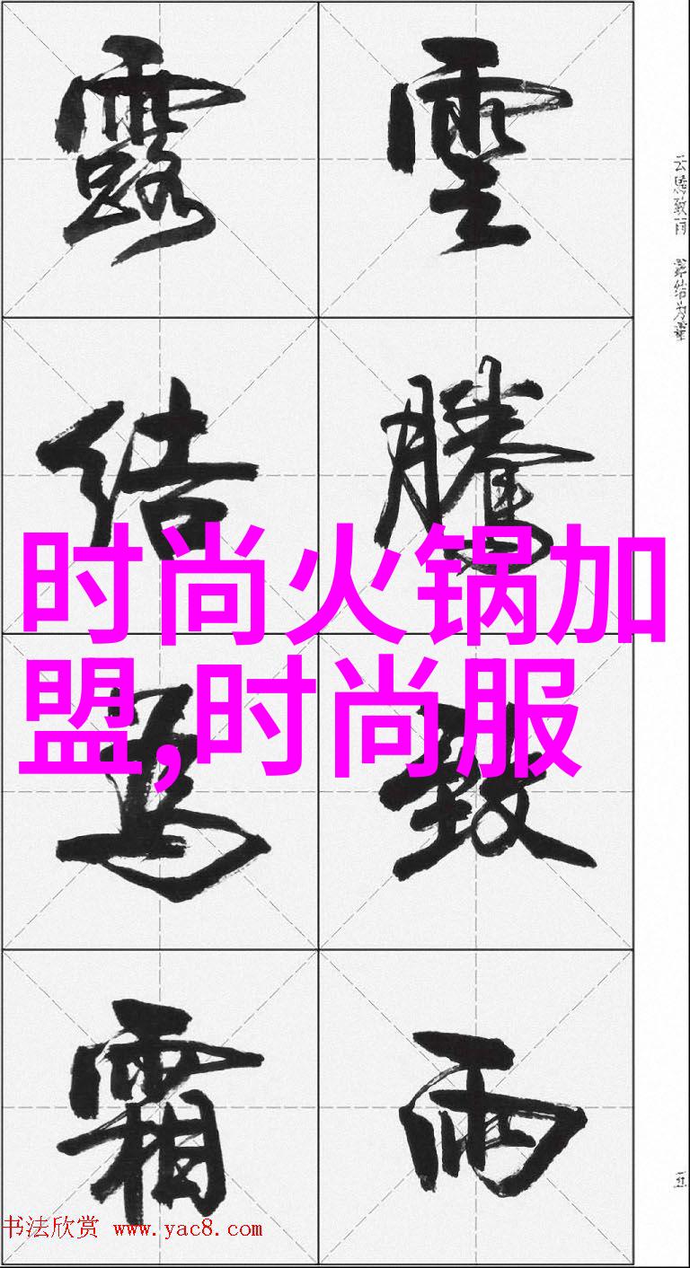 写真的历史与哲学探究从艺术表达到社会反映