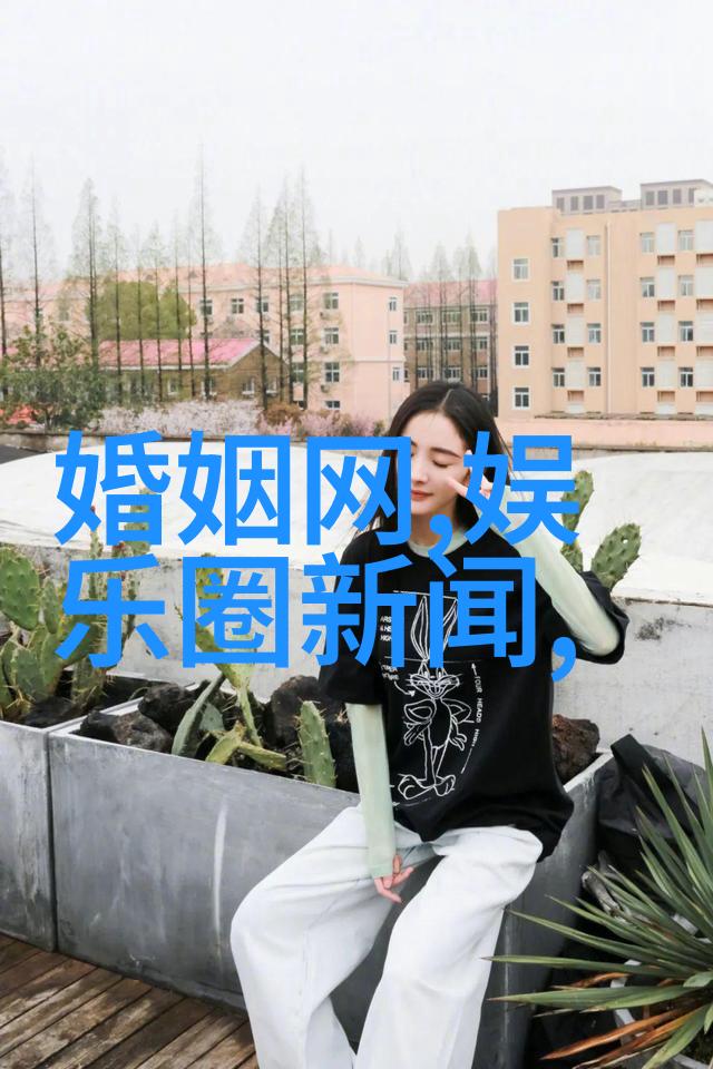 17313数字密码与未解之谜的交响曲