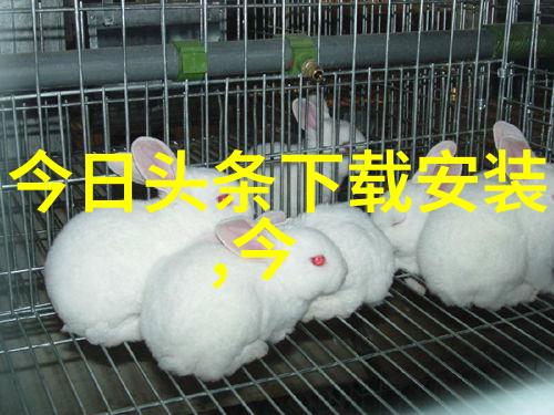 探秘网络热点那些让人忍不住笑出的可爱图