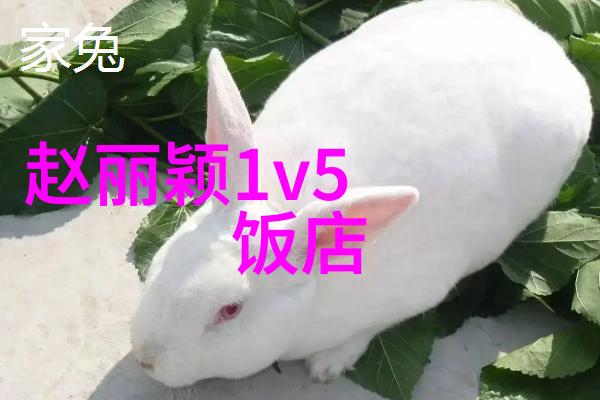 艺术与摄影-捕捉真实探索什么叫写真的艺术
