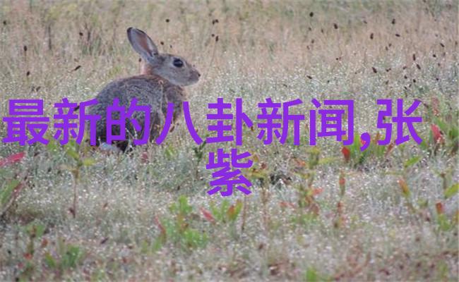台湾娱乐1971-风华正茂回顾70年代台湾娱乐业的辉煌