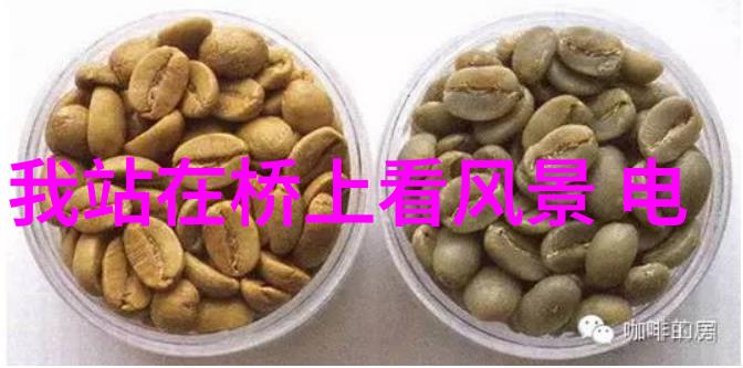 迫的爱人 电影-永远的追寻迫的爱人电影中的不朽情感