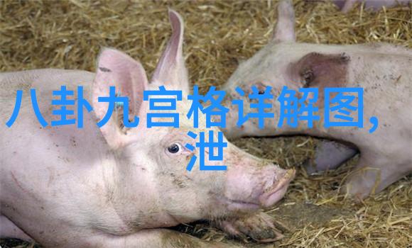 国际社会对台湾建国立场的分析