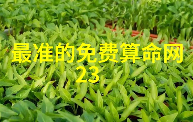 在数字时代大胆写真能否带来真正的视觉革命