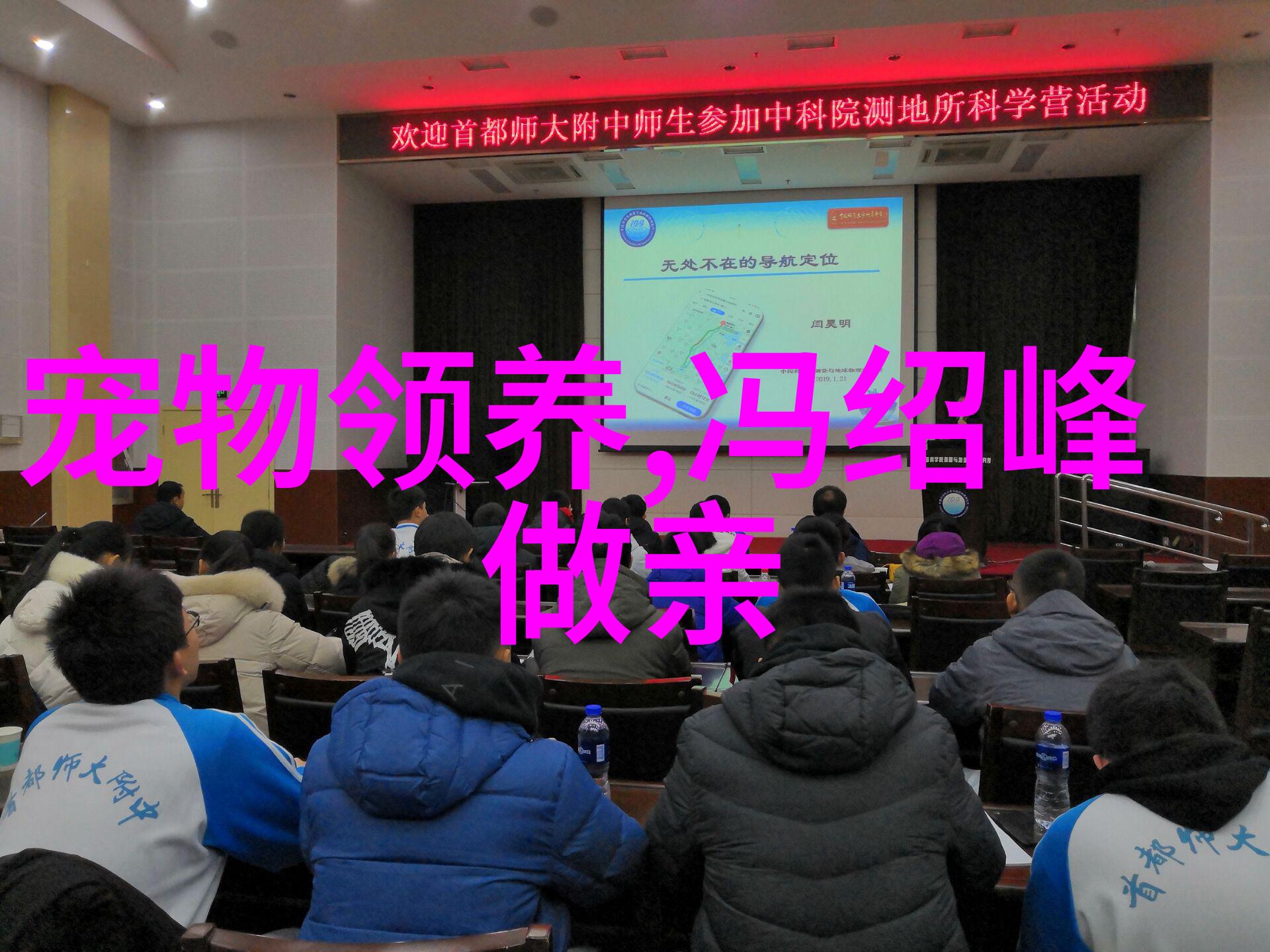 黑客帝国下的免费旋律