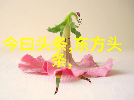 旋律的无垠海洋音符之旅
