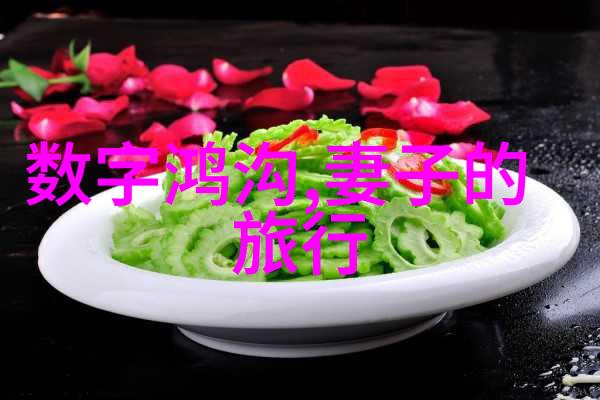 全员加速中大家的综艺之旅