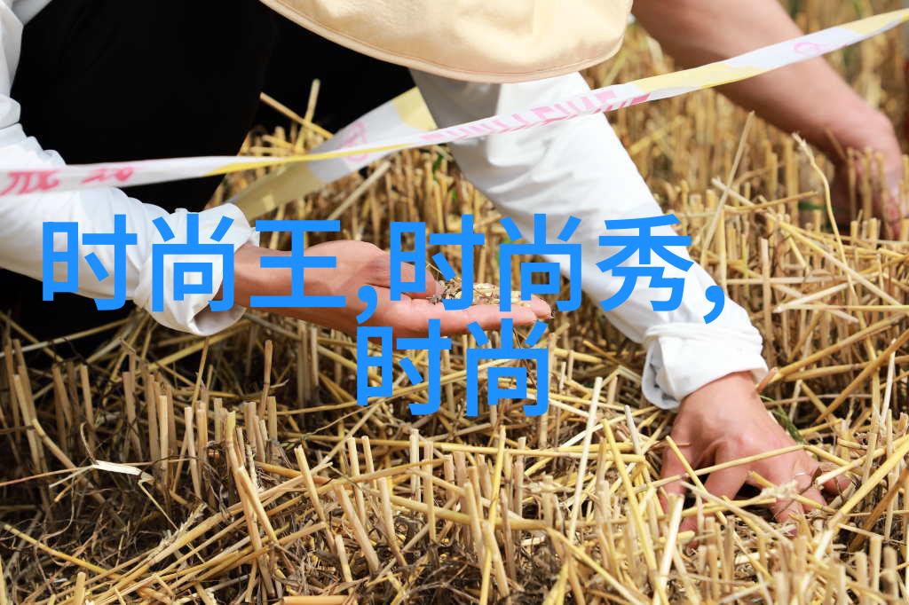 毛雪汪综艺免费观看毛小星与雪梨的有趣综艺生活