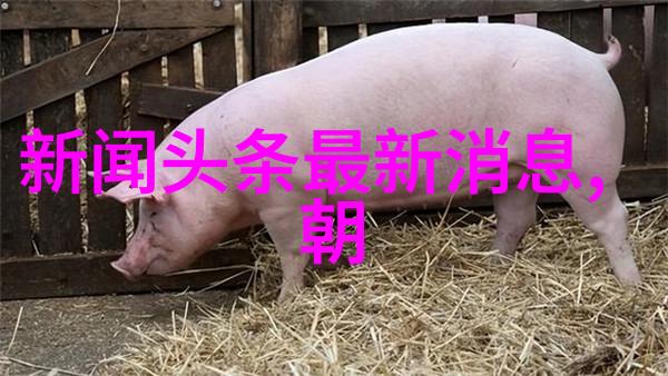 八卦解读从古代智慧到现代生活应用