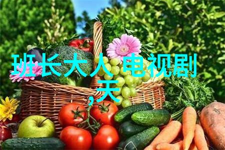 视觉回响图像探索与认知之旅