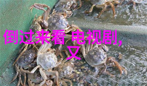 吴全新单曲大碗宽面如同一道风味独特的美食勇猛地登顶各大数位平台榜单之巅其音乐才华犹如滚烫的面条香气四
