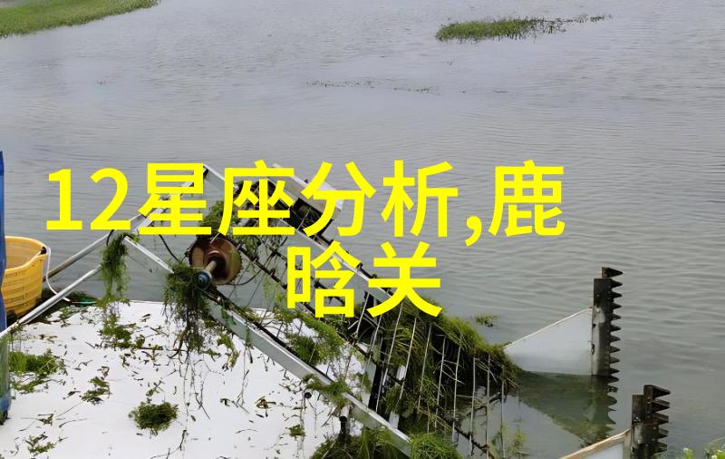 禁闭与哀伤探索冷宫背后的心理世界