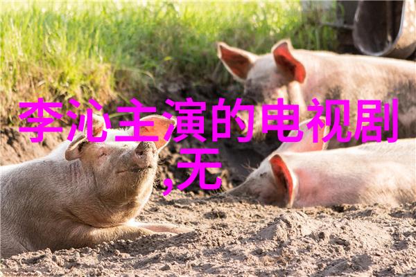 什么是BCI3分钟视频让你了解它的标准