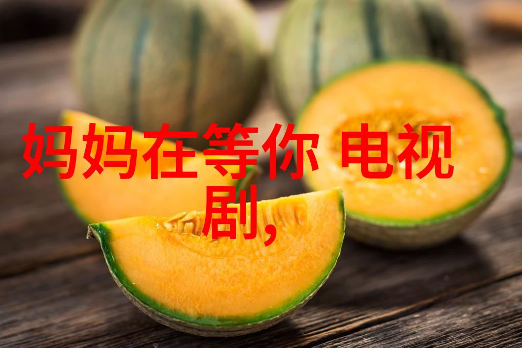 驭兽道月下孤狼与星辉狐狸的契约