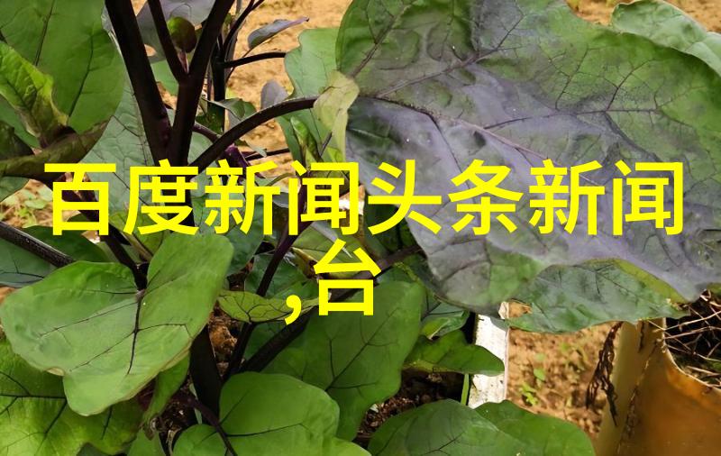 激情燃烧美国最棒的健身前看电影