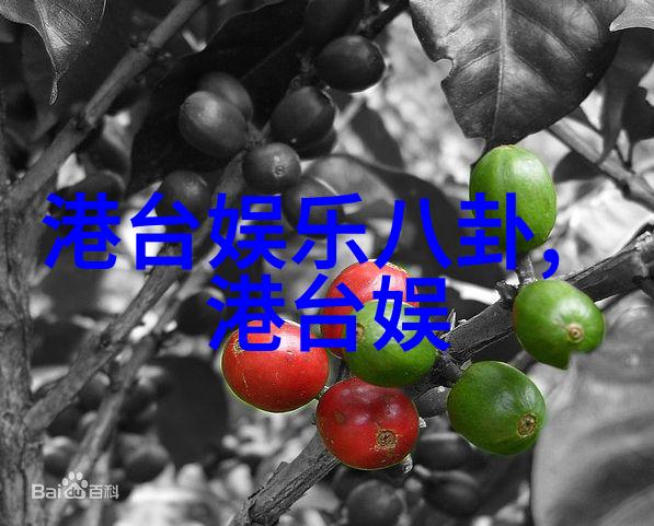 娱乐圈背后的秘密权力游戏与人脉互换