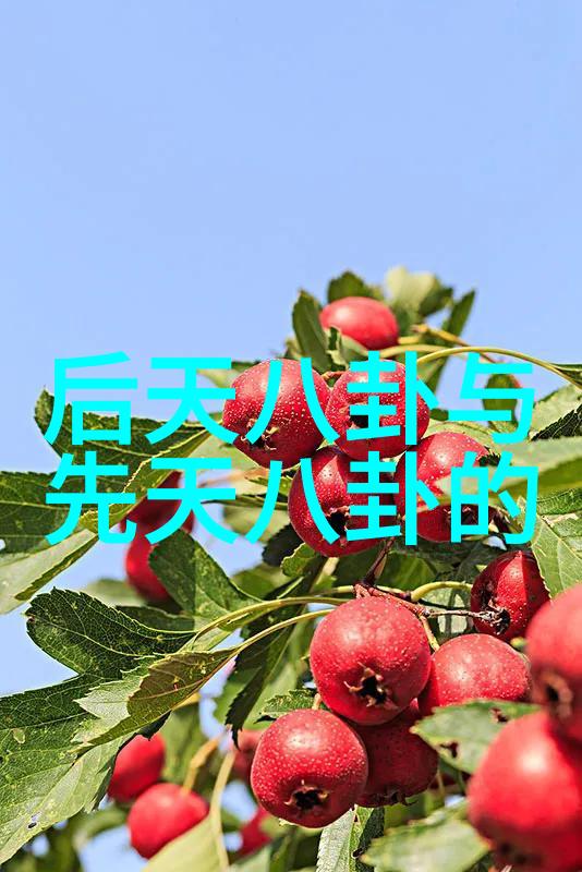 语言游戏揭秘成语为时短和为时长