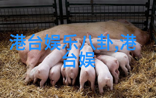 为什么写真机仍然受欢迎