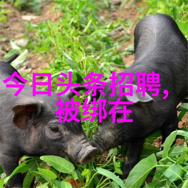 古风新韵如何将现代元素融入到老歌经典中