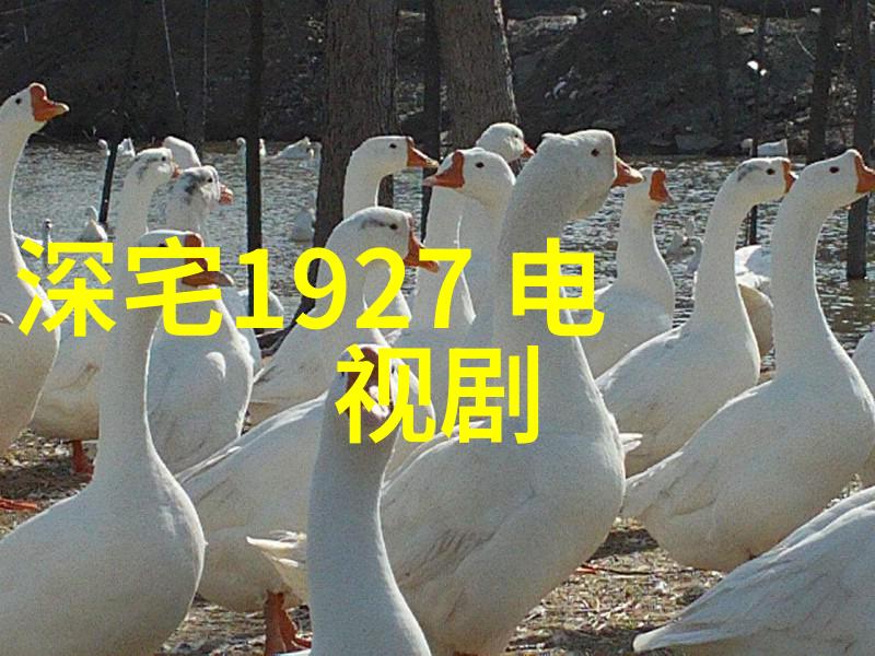 世界上大陆的英语一阅读答案2010年考研英语阅读理解全文翻译与解析
