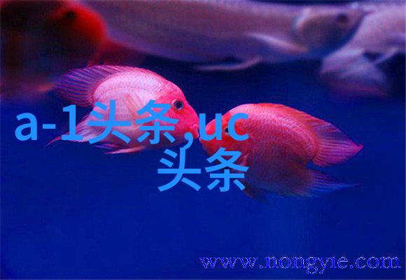 少女梦幻时尚高清美图集