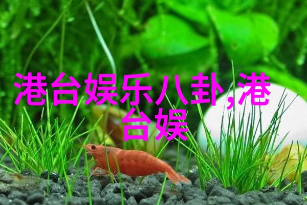 碎心画卷泪滴中的世界