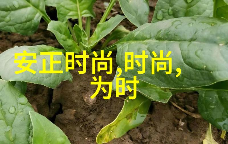 红毯盛宴揭秘电影娱乐八卦的真相