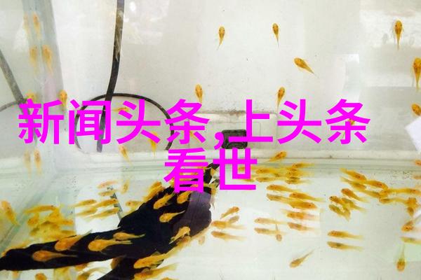 石破天惊2023年最震撼电影之旅
