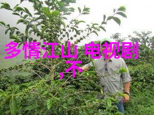 高清写真 - 精彩瞬间的细腻捕捉